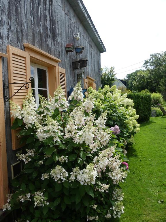 Gite Du Village - Deschambault Exterior foto